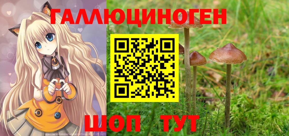 Дербент  Псилоцибиновые грибы MAGIC MUSHROOMS  Вход с VPN 